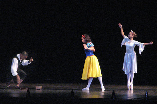 62207_2216_sw_fairy_w.jpg